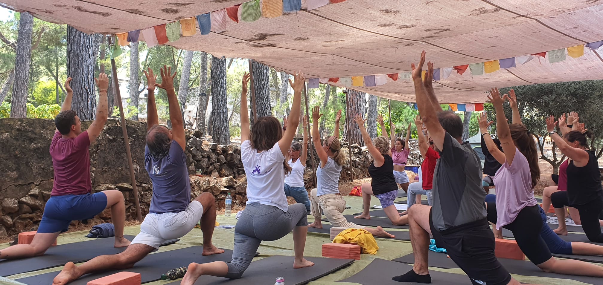 f405b80b ce3e 440f 90e3 b418d175710d